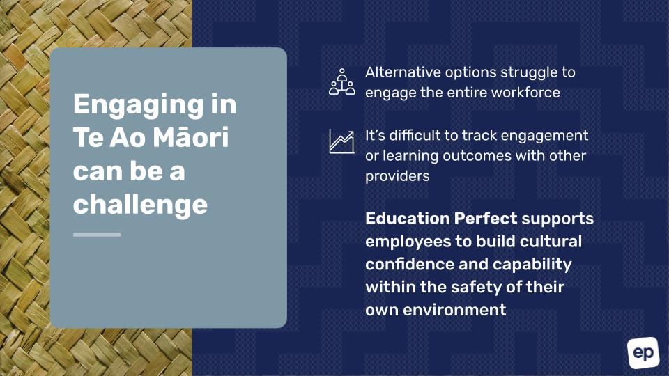 Te-Ao-Maori-for-Professionals-Presentation-0222